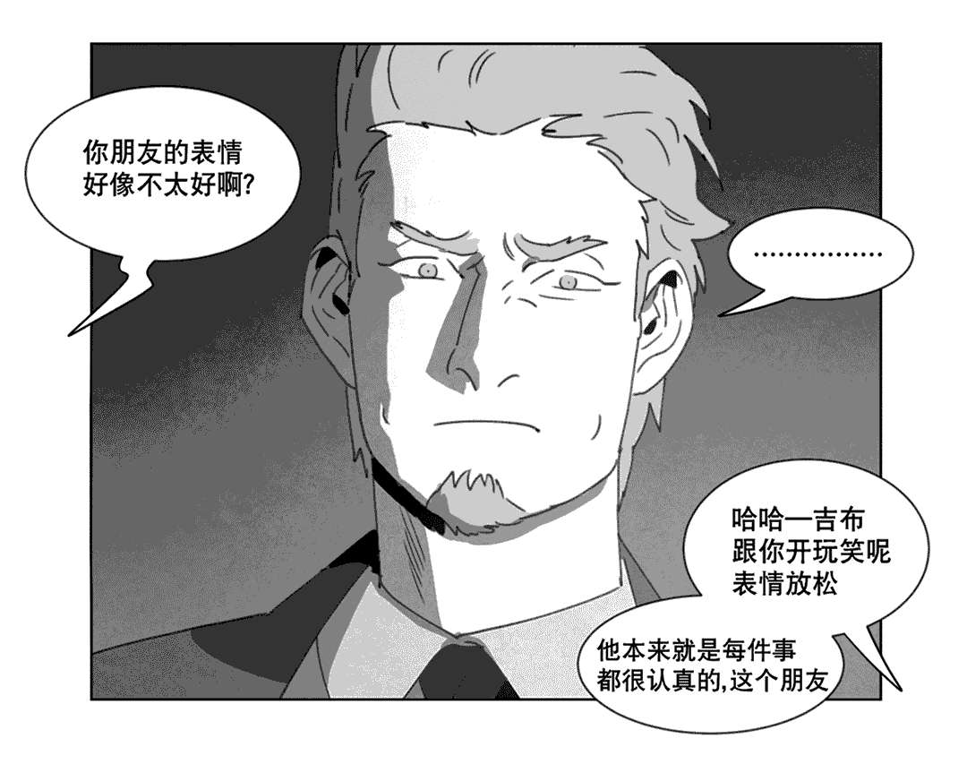 第20章：替代品35