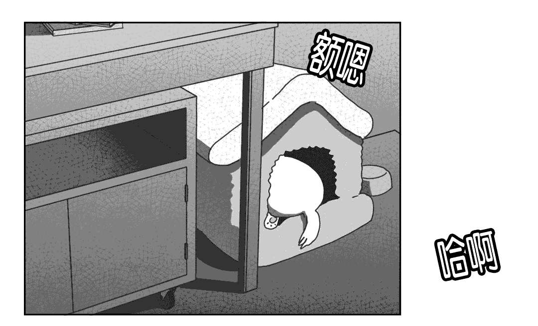 第37章：抵制同性1