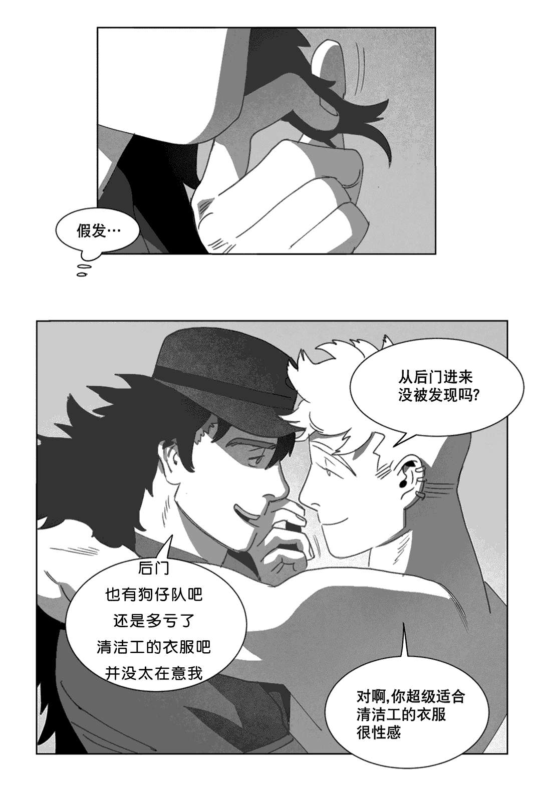 第20章：替代品33