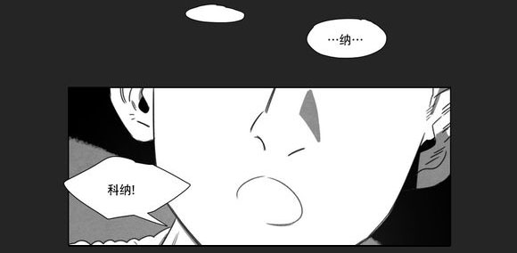 第11章：袭击27