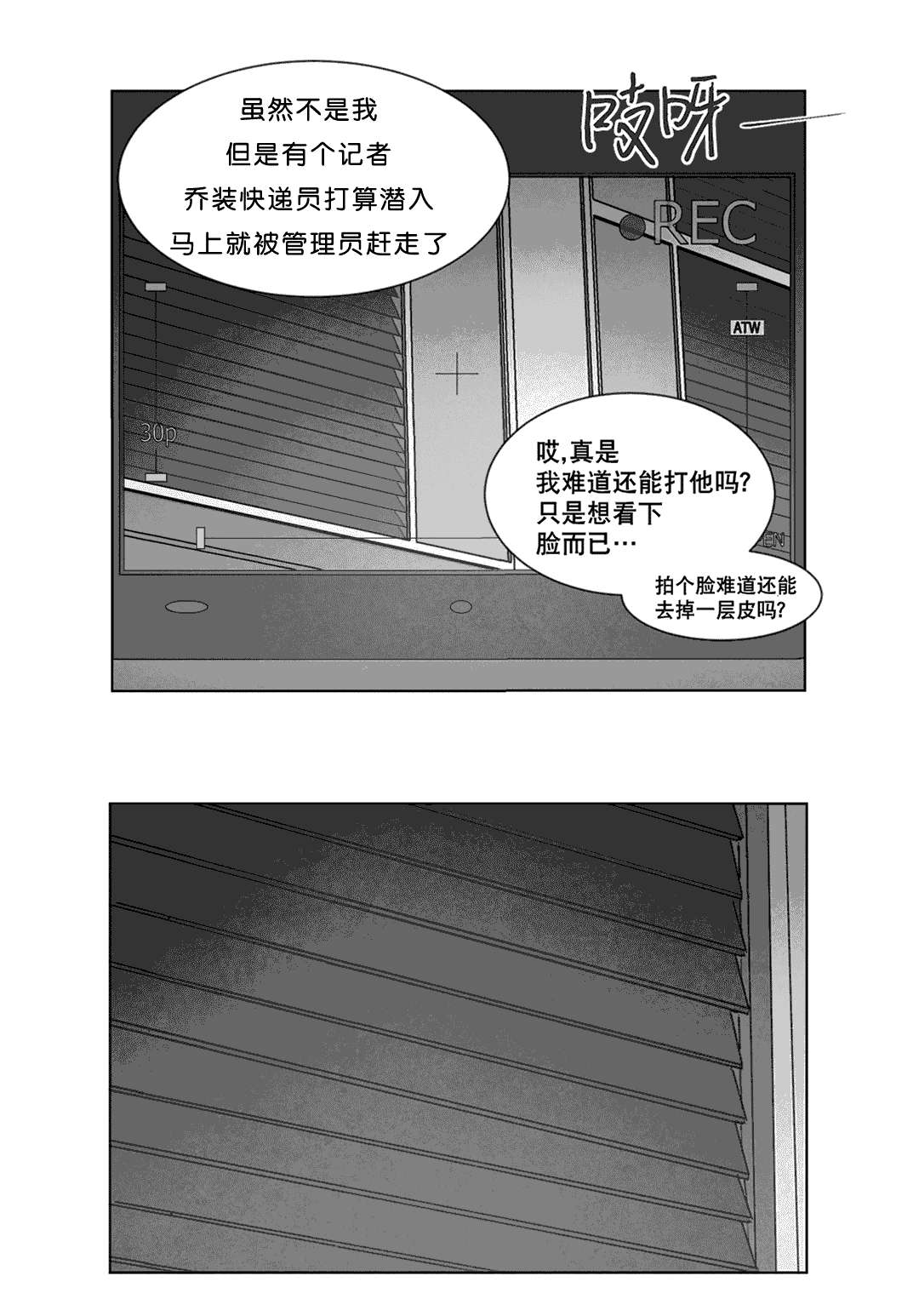 第20章：替代品20
