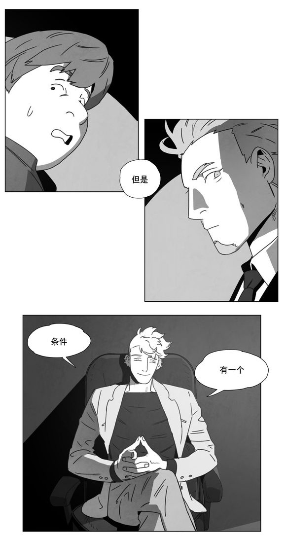 第14章：条件43