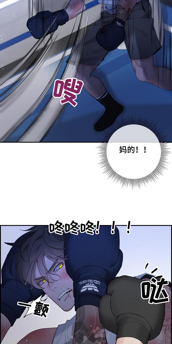 第73章：【第二季】一直找你16