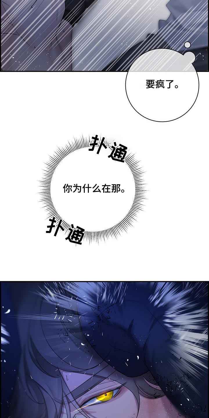 第73章：【第二季】一直找你12
