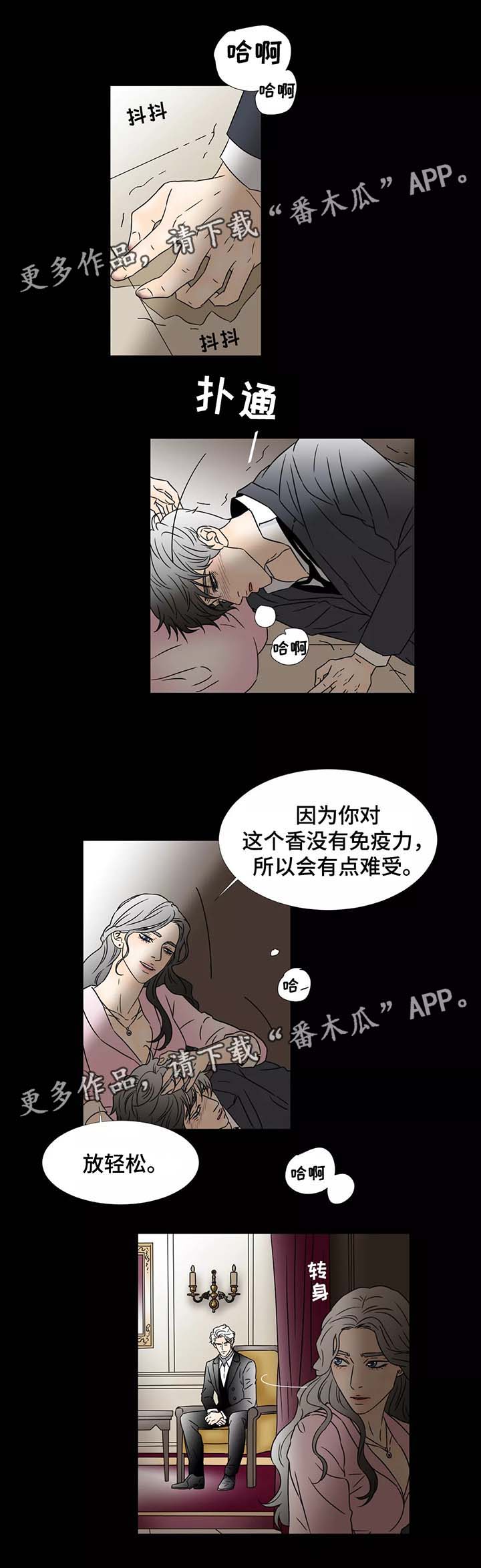 第67章：美好的假象0