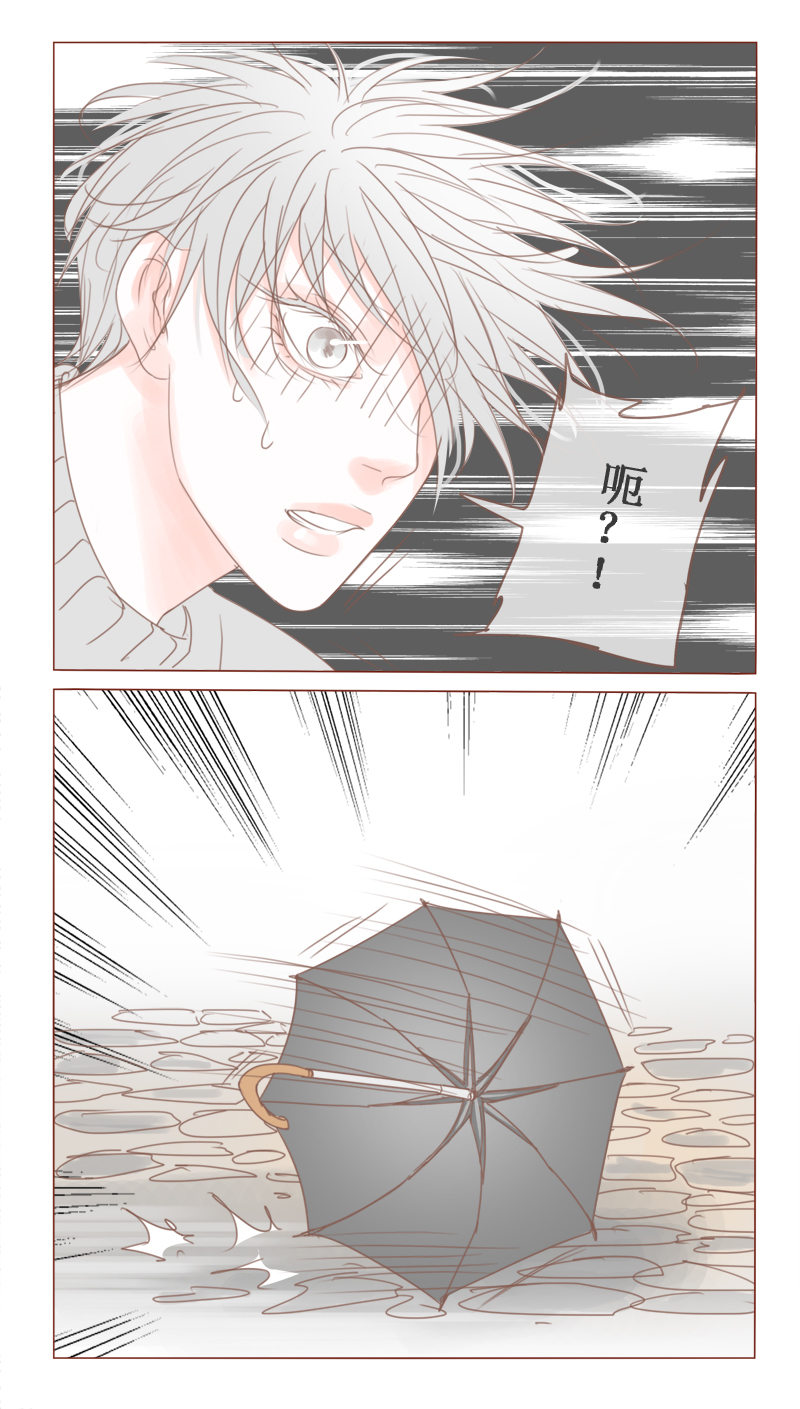 第24章：对不起，没有猫3