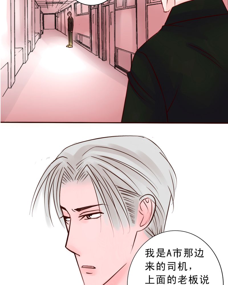 第49章：命运交响曲1