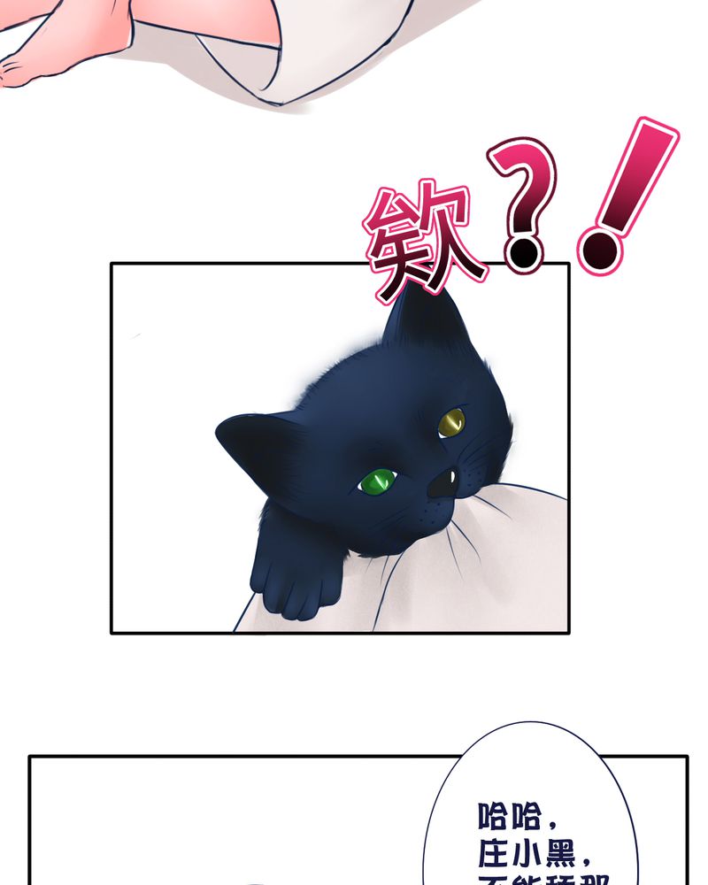 第25章：FAVORITE14