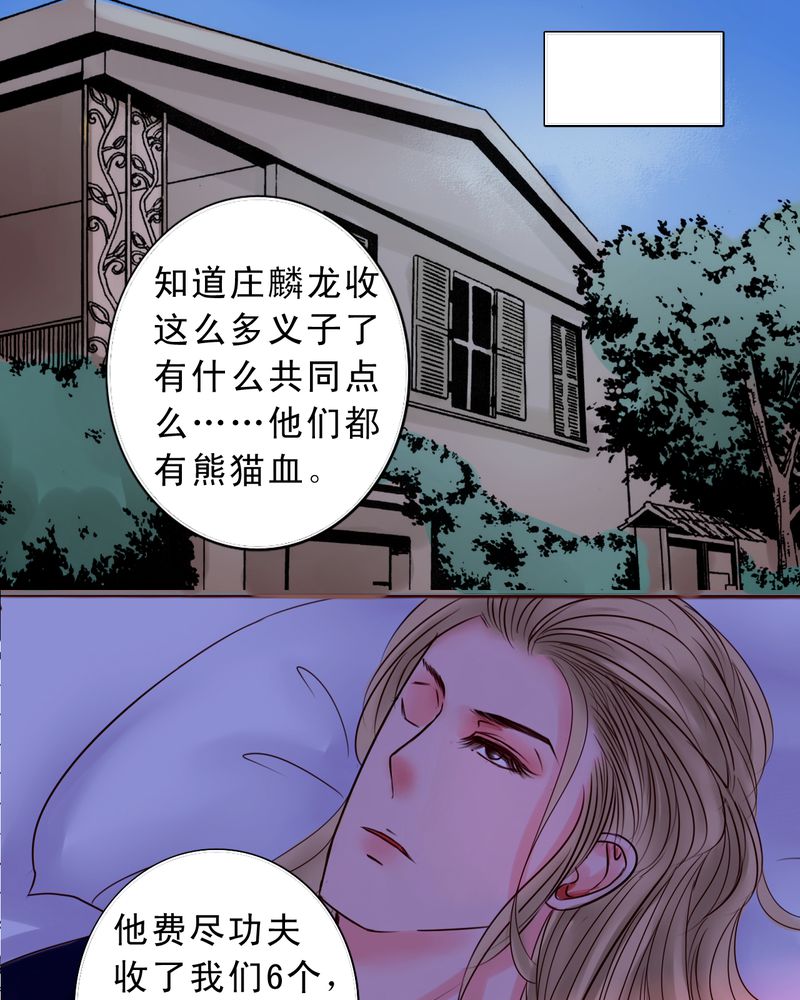 第49章：命运交响曲3