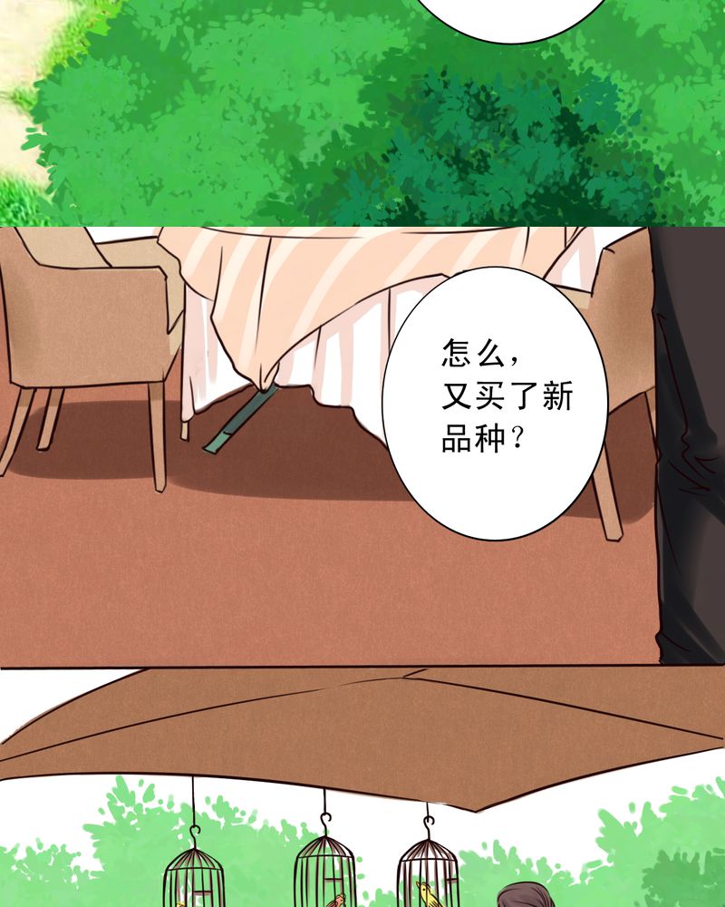 第38章：那个人6