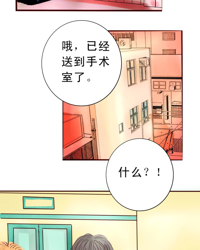 第39章：番外：一见钟情7