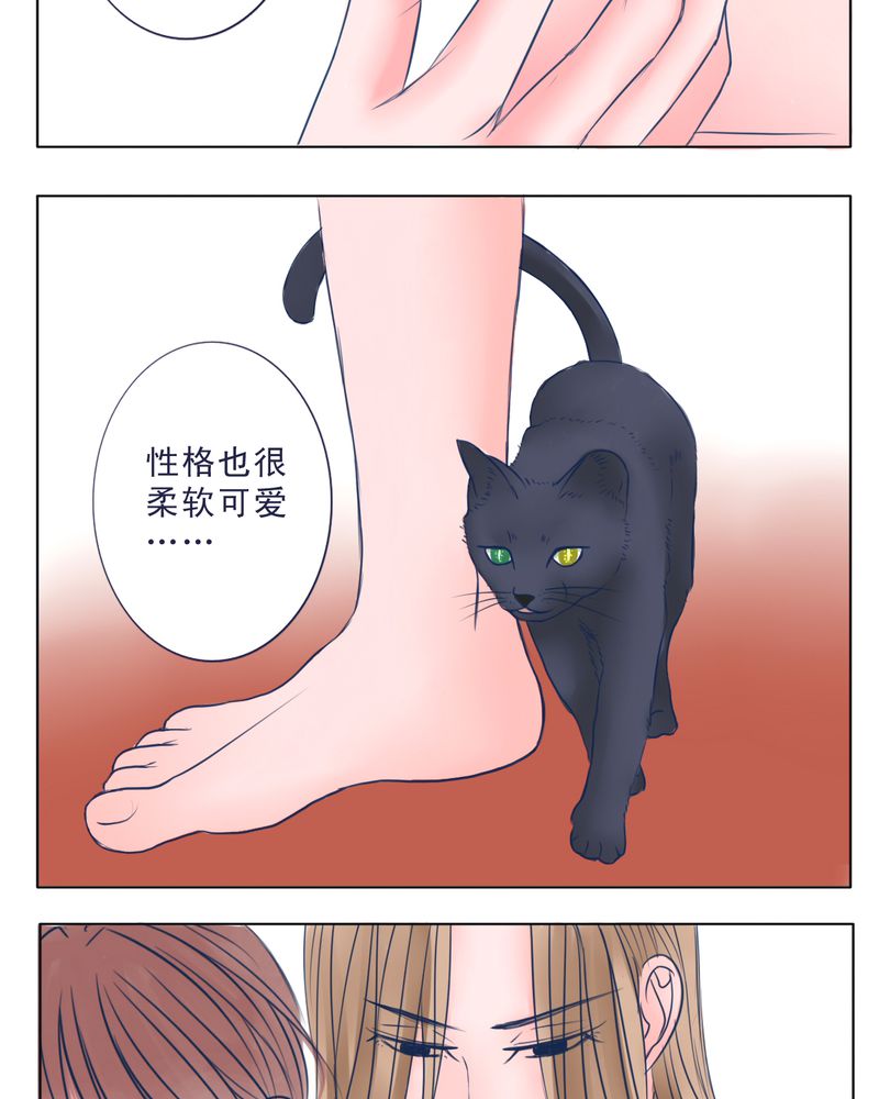第25章：FAVORITE4