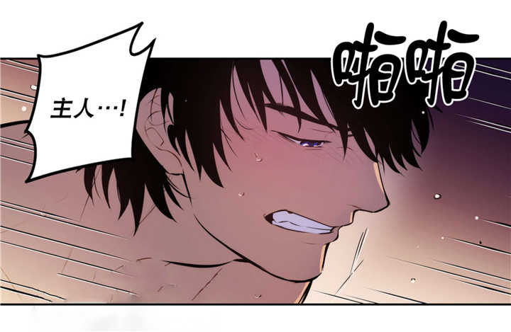 第69章：艾利的死0