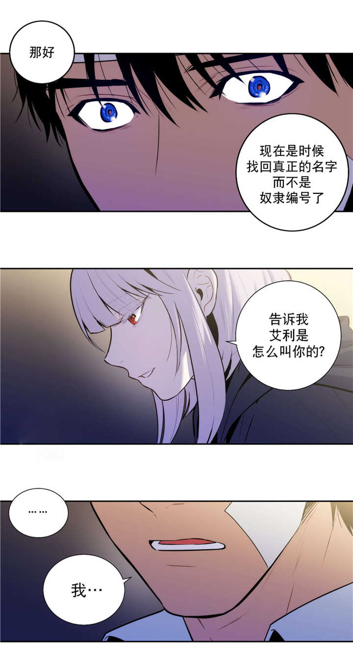 第59章：那个传闻1