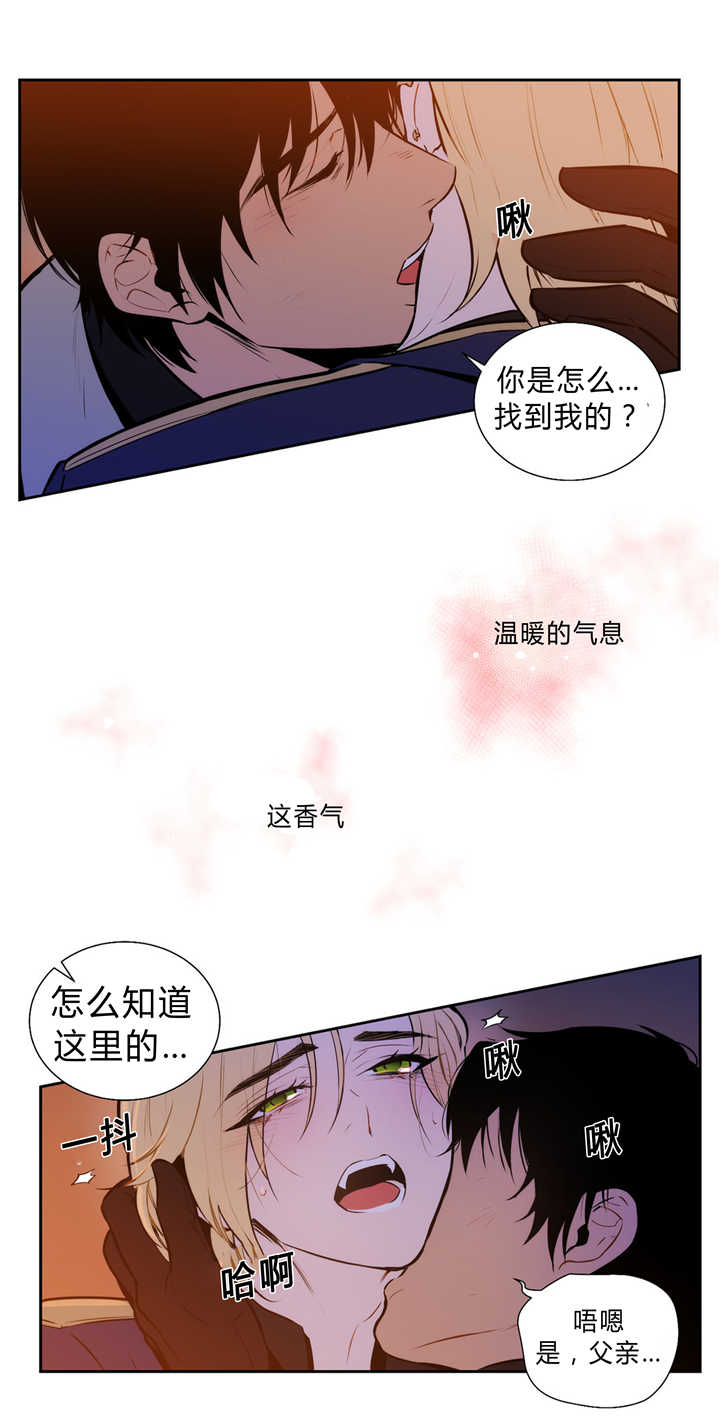 第83章：追逐香气3