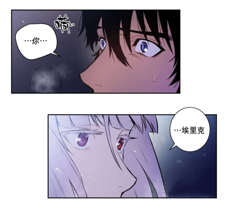 第66章：不要外出16