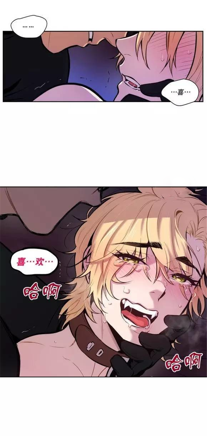 第35章：都是骗人的3
