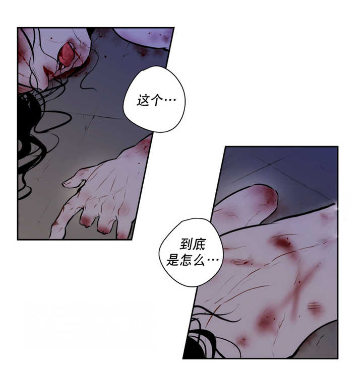第65章：奇怪脚印0