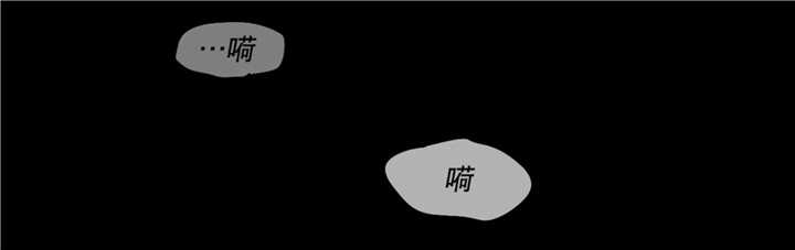 第59章：那个传闻3