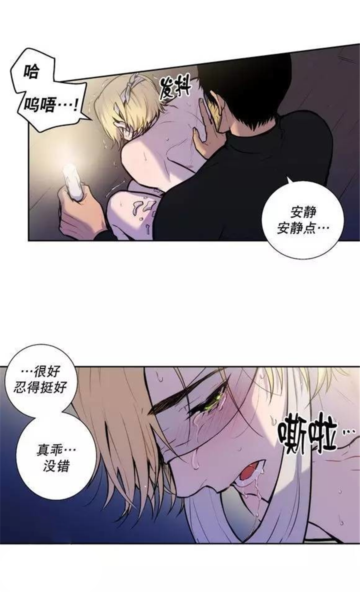 第28章：你希望我怎么做0