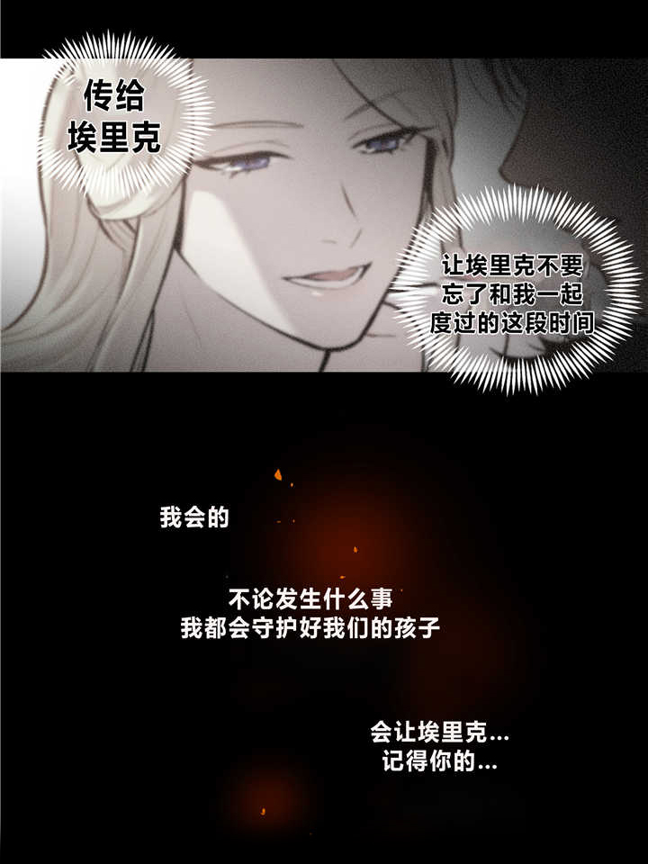 第81章：独特回忆14