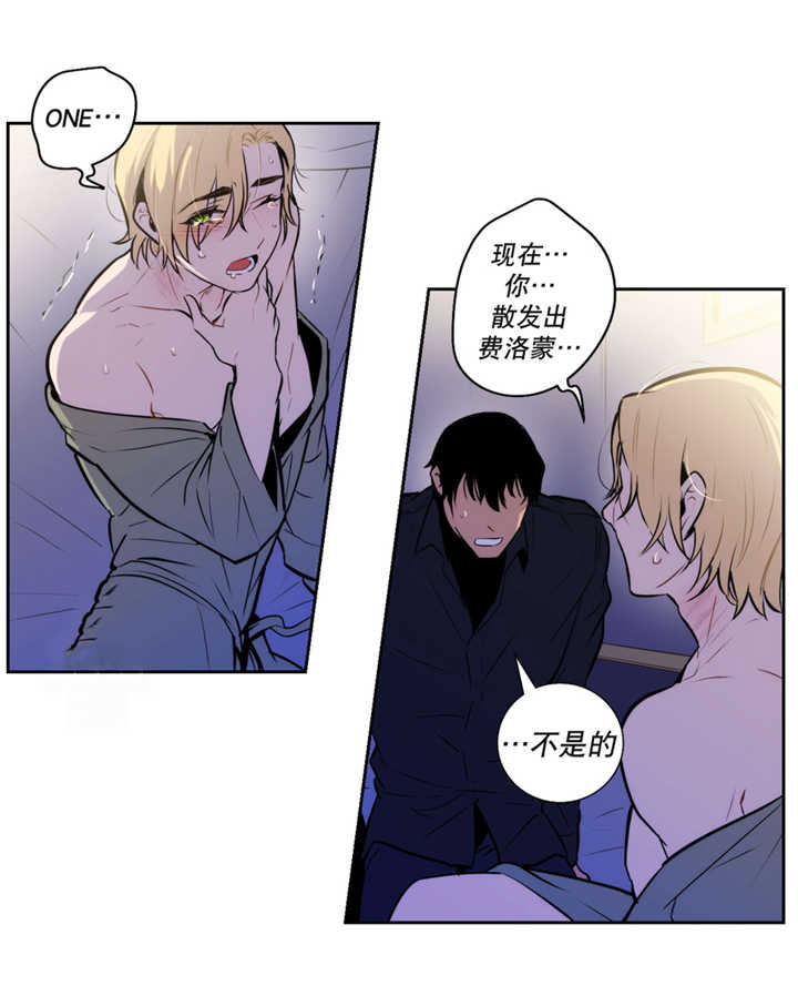第52章：从未听说4