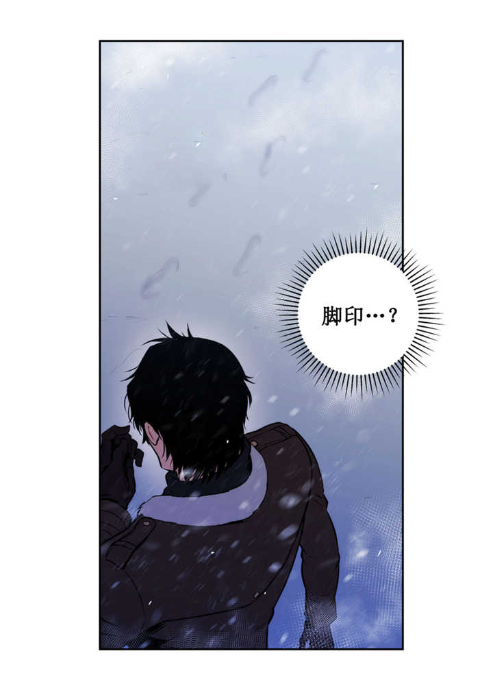 第65章：奇怪脚印17