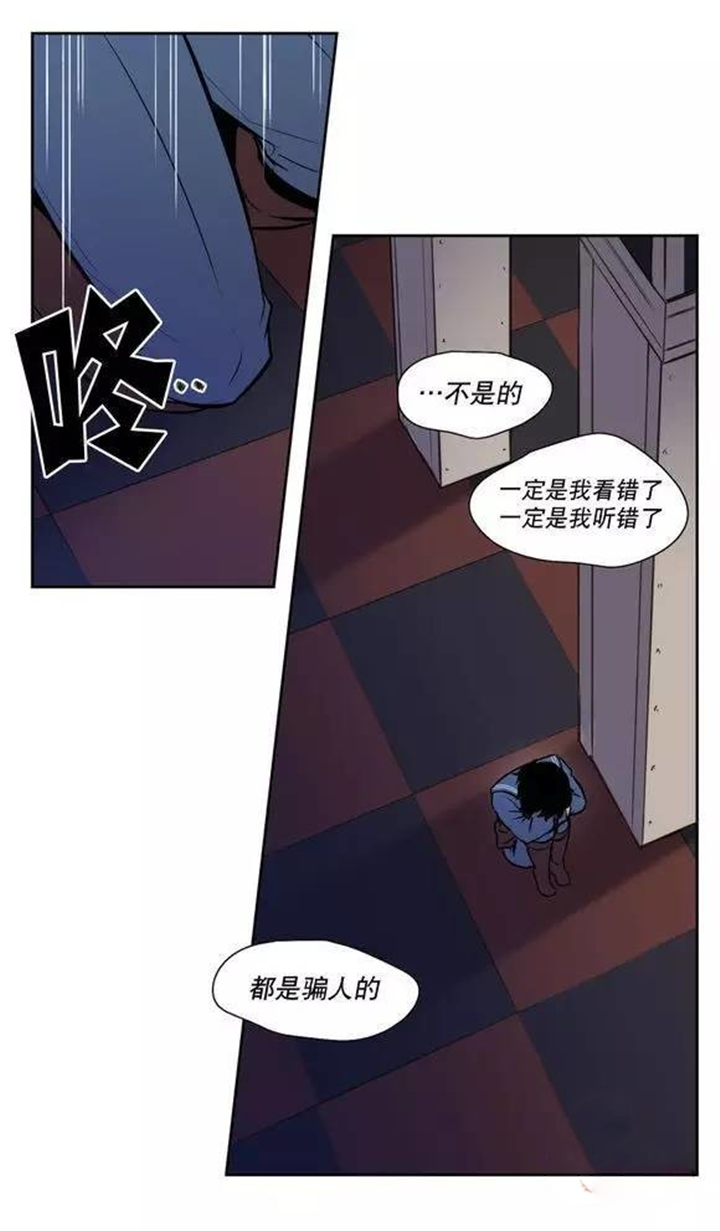 第35章：都是骗人的11