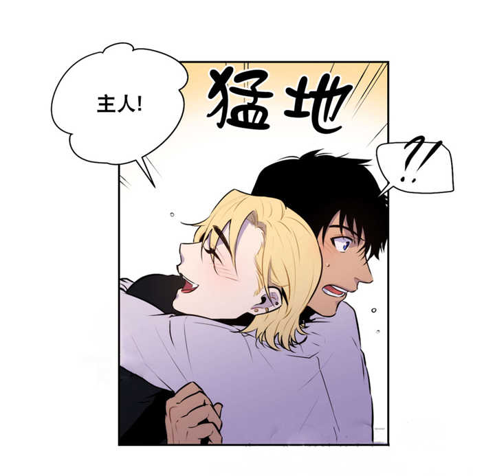 第68章：这是梦境16