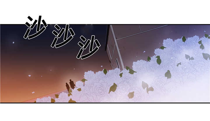 第82章：再次相遇7