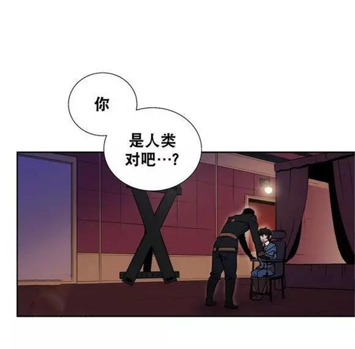 第38章：你到底是谁11
