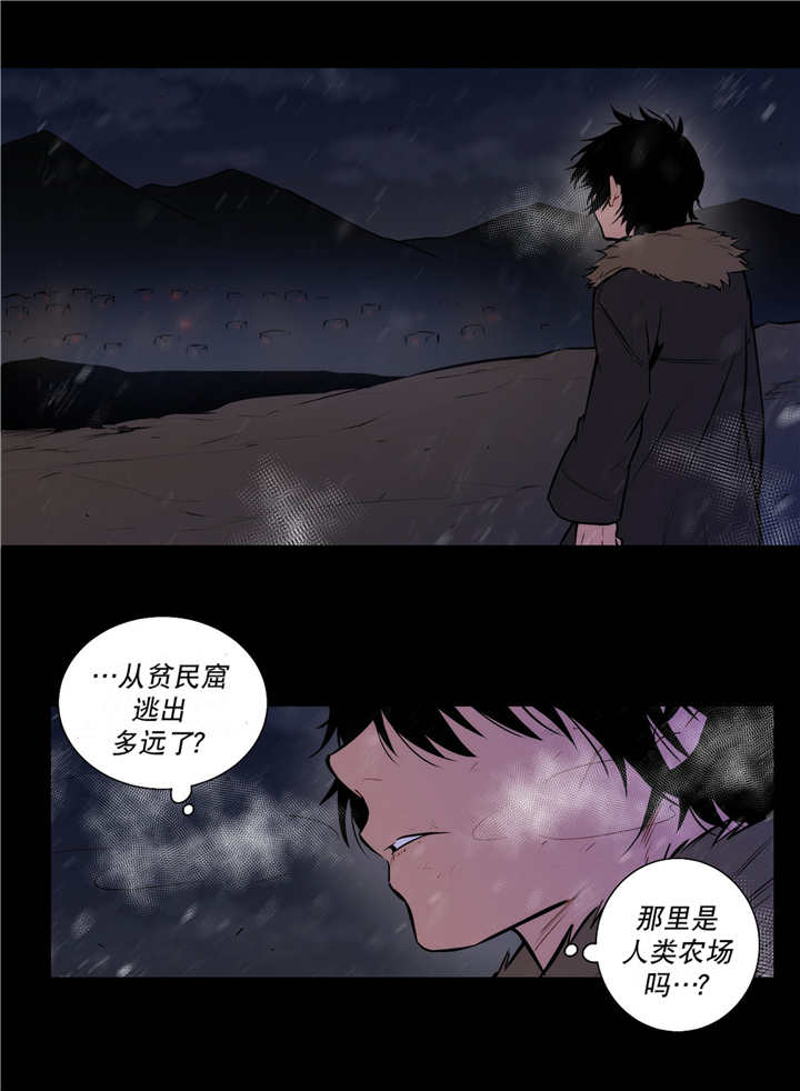 第73章：我的意志19