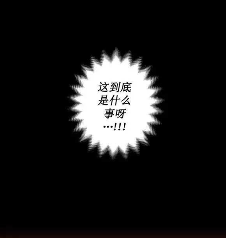 第34章：这到底是什么事呀15