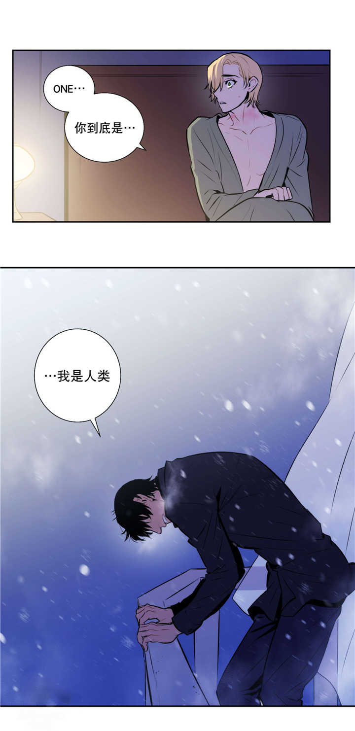 第52章：从未听说11