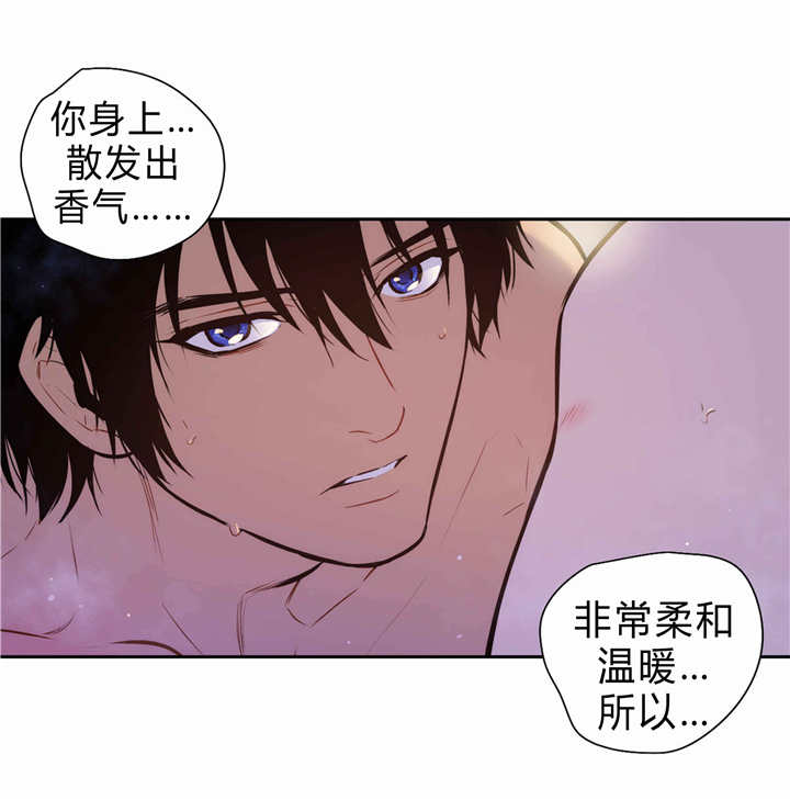 第85章：守护0
