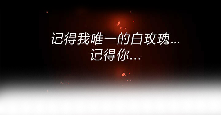 第81章：独特回忆16