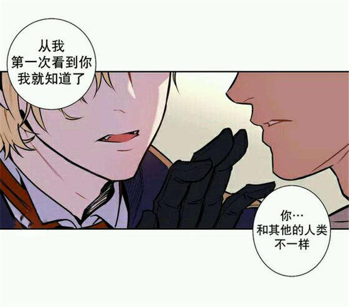 第7章：您为什么来我家17