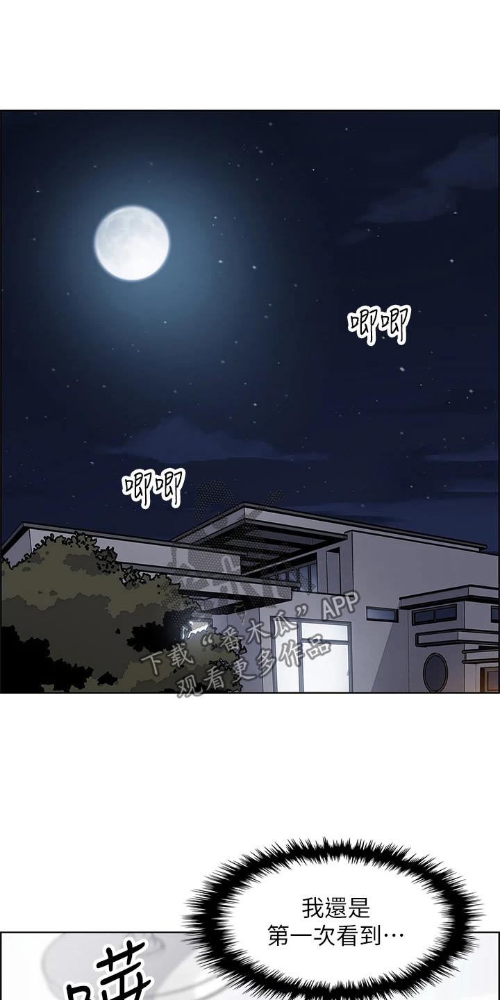 第63章：算什么16
