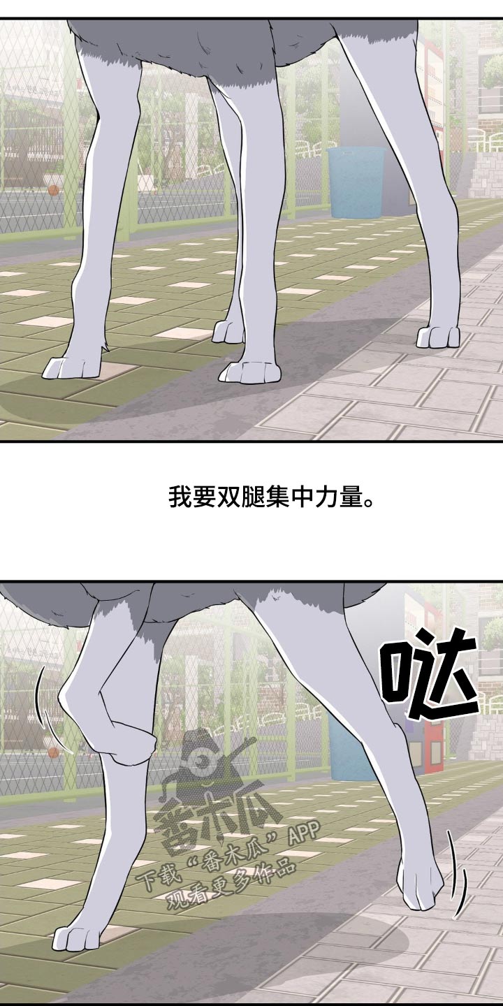 第132话1