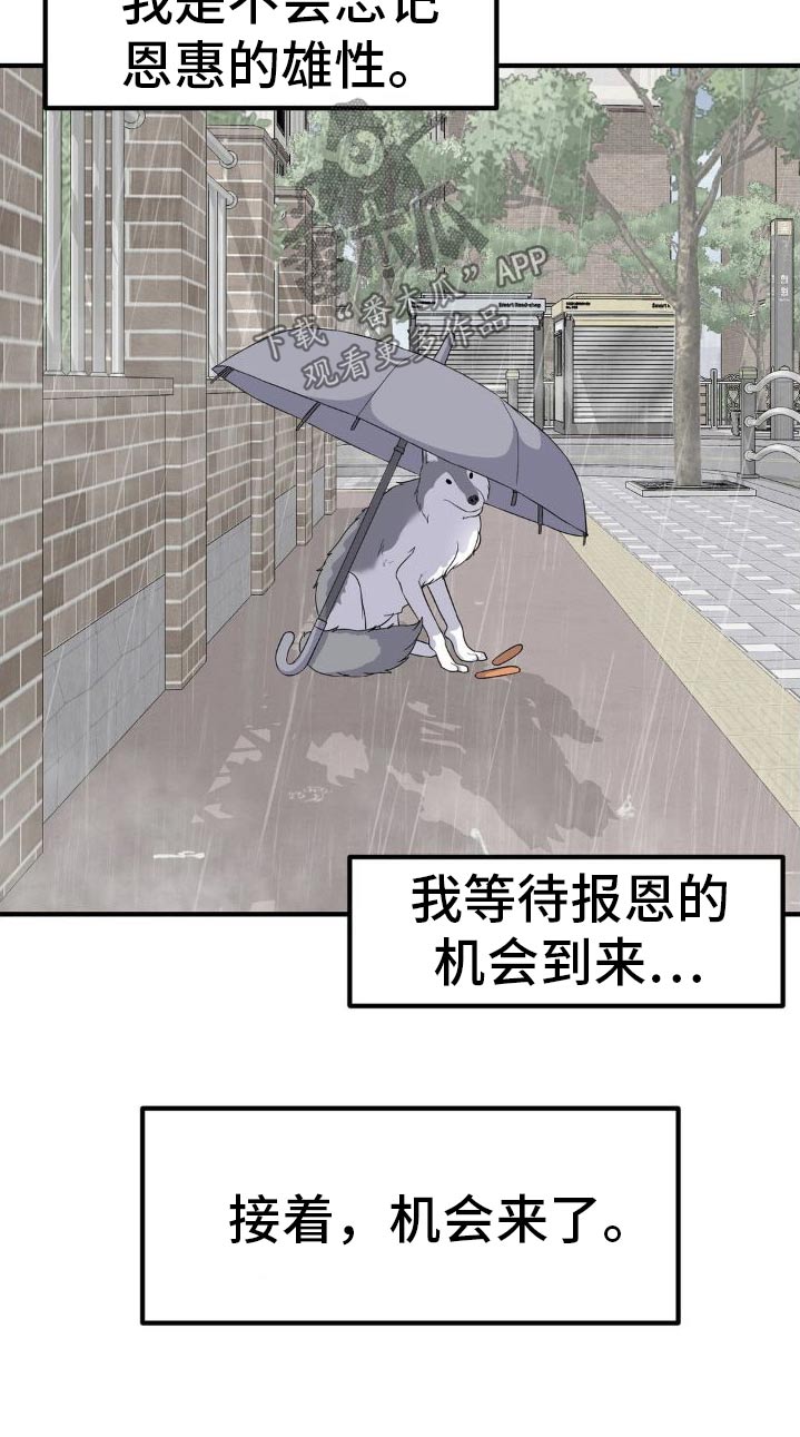 第128话4