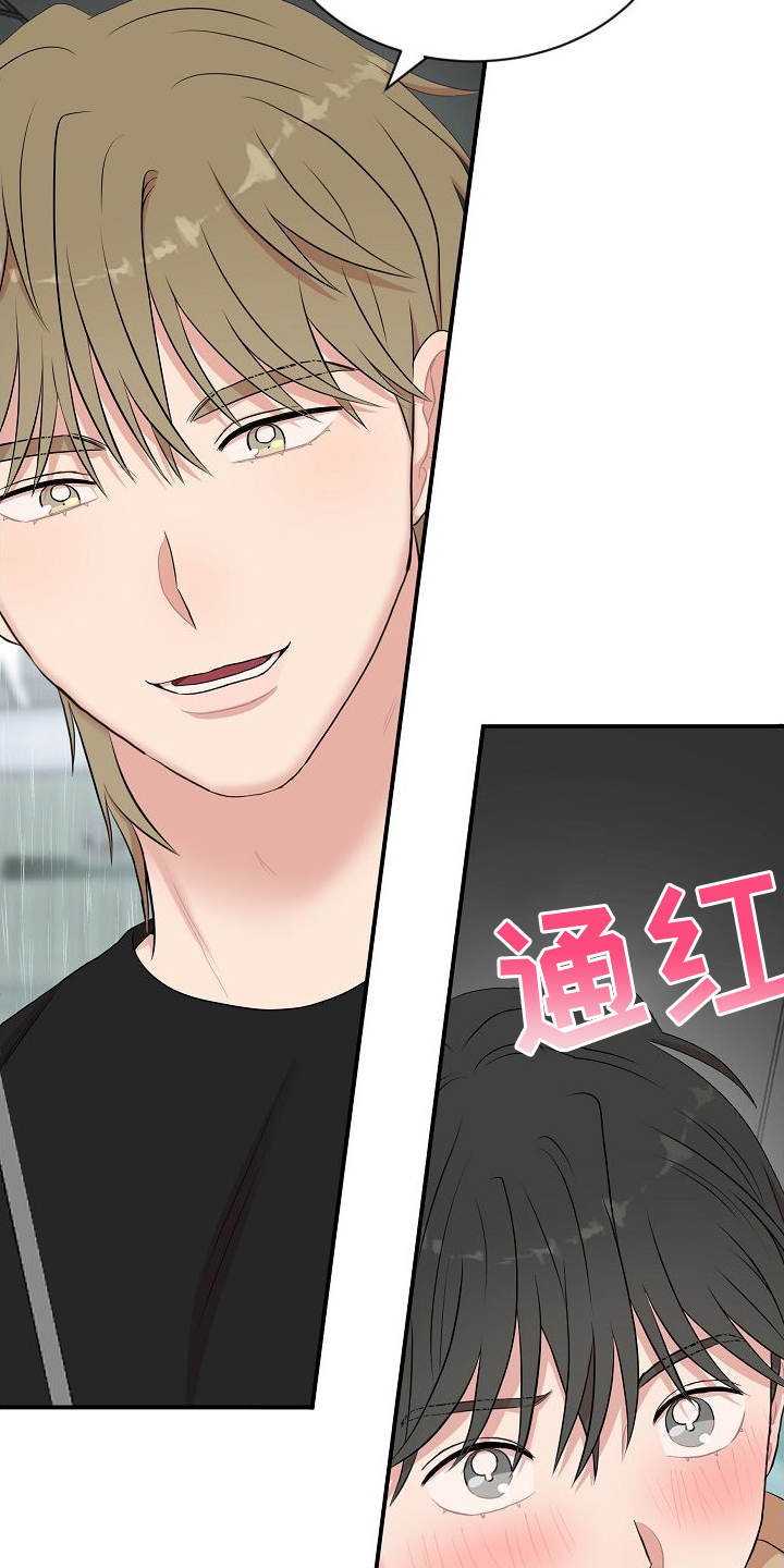 第41章：判断2