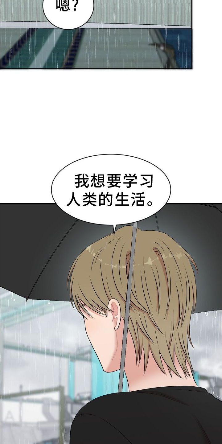 第40章：学习24