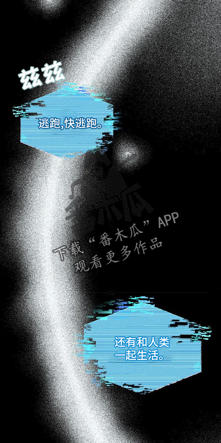 第43章：信息27