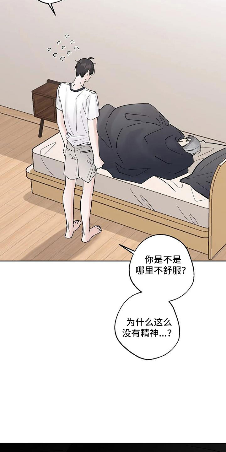 第54章：【第二季】诈骗17