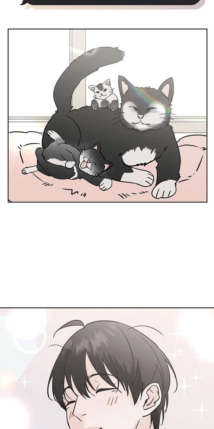 第54章：【第二季】诈骗5