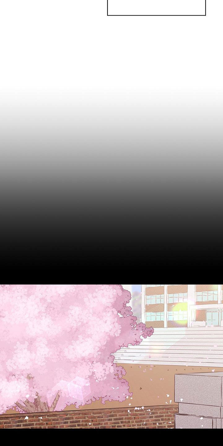 第116章：以前10