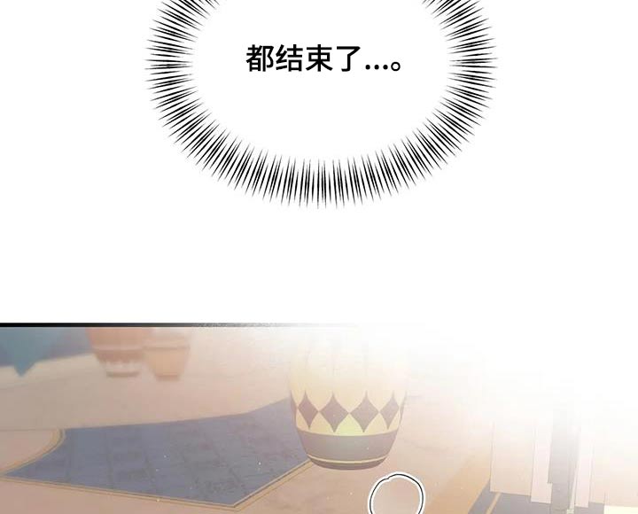 第138章：都结束了20
