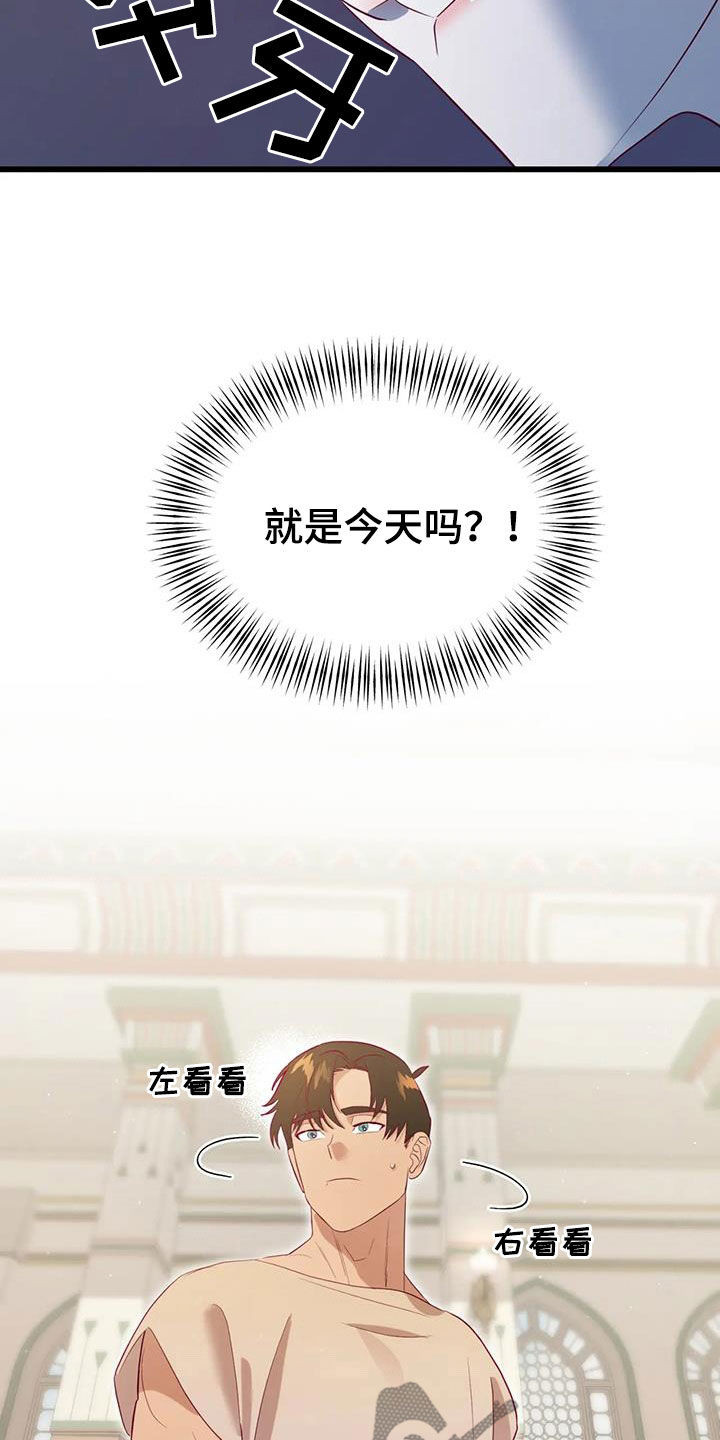 第134章：进宫25
