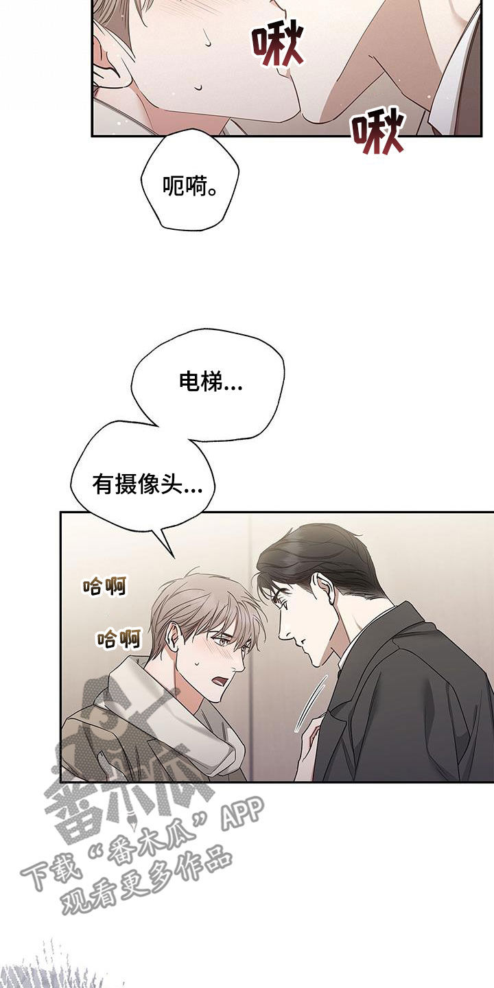 第51章：像又不像5