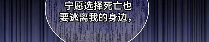 第50章：绝不可能28